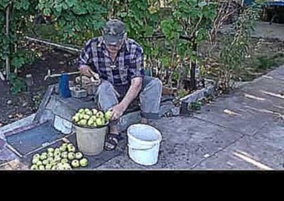 Владимир алексеевич солоухин аудиокнига моченные яблоки