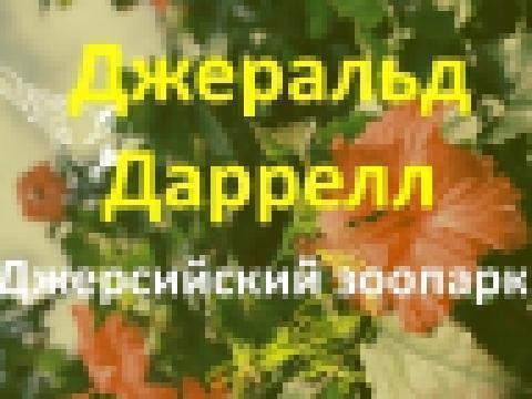 Джеральд даррелл моя семья и другие звери